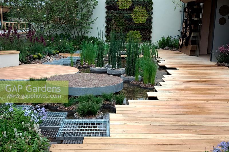 RBC Blue Water Roof Garden, Exhibitor: Royal Bank of Canada, Designer: Professor Nigel Dunnett and the Landscape Agency
