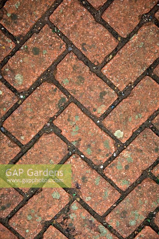 Bricks used as paving in a garden - herringbone pattern