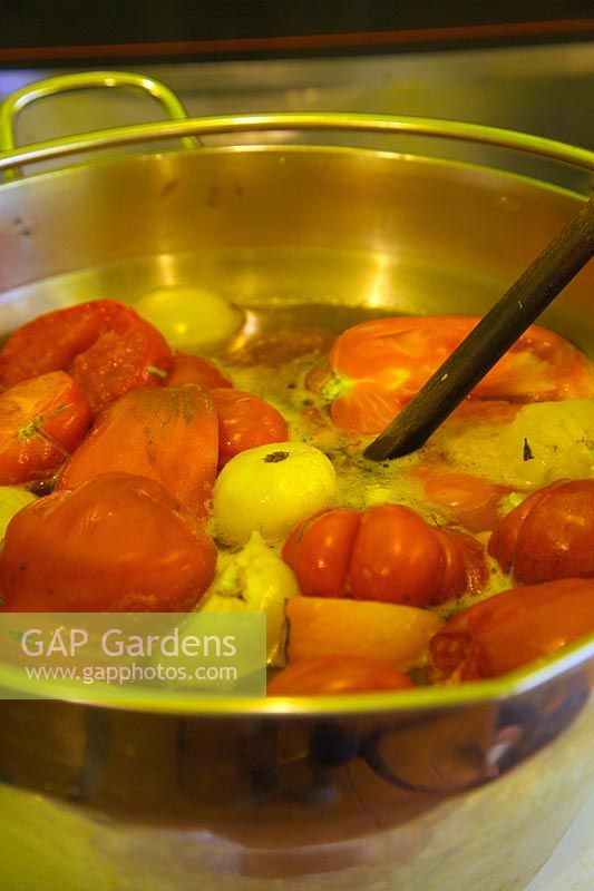 Freshly picked home grown beefsteak tomatoes - boiling and reducing to make tomato sauce