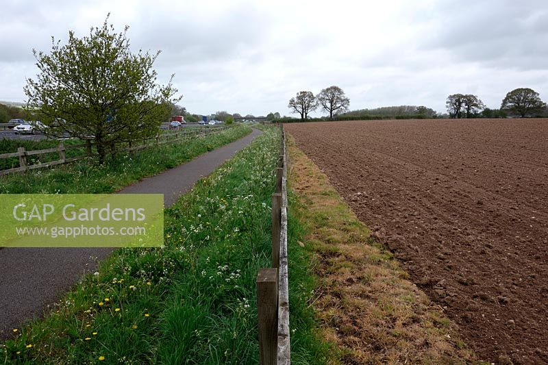 Intensive land use with fields sprayed right up to the fence with glyphosate and large areas devoted to tarmac and roads means little space and habitat for wildlife - East Devon in spring