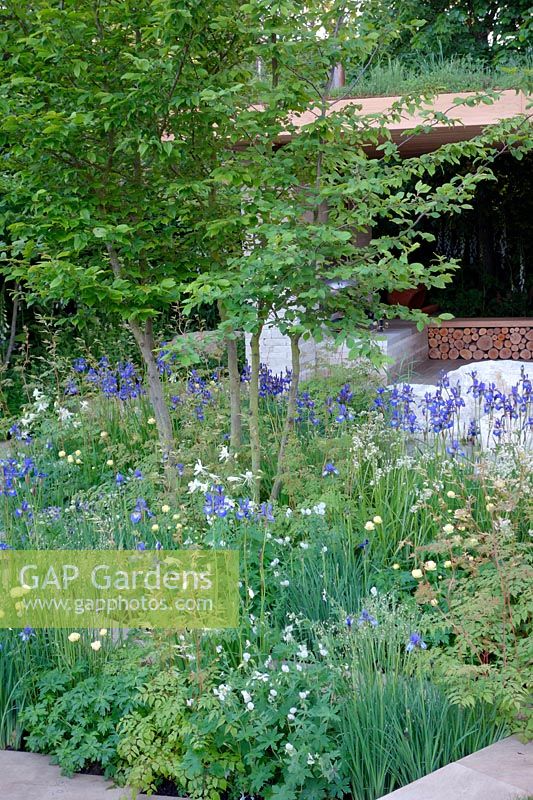RHS Chelsea Flower Show 2014 - The Homebase Garden Â- Time to Reflect Designer Adam Frost. Show Garden