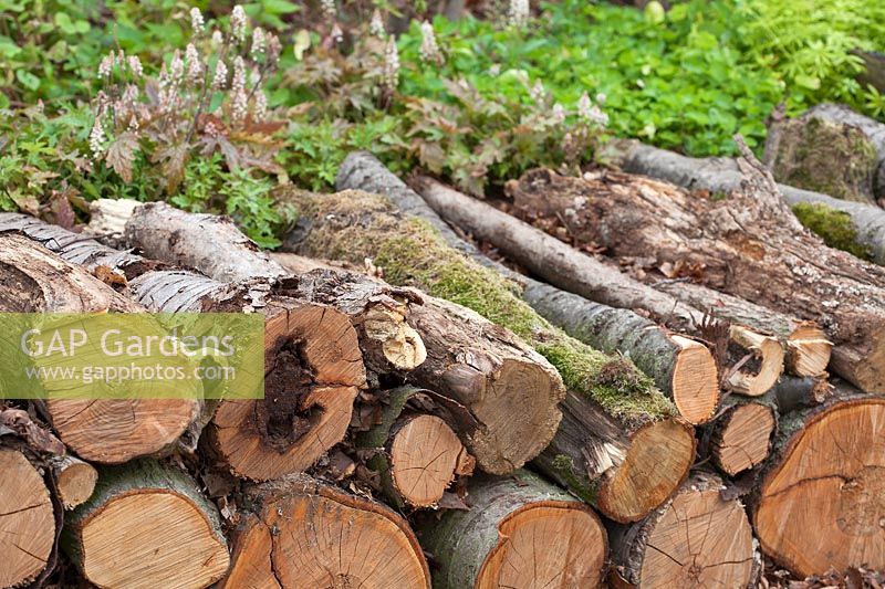 Log piles for wildlife habitat in a woodland garden