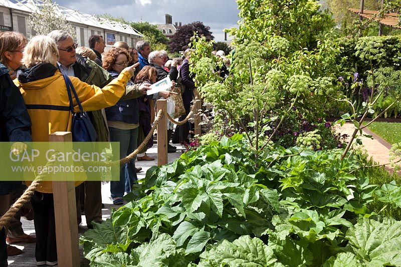 Visitors to the RHS Chelsea Flower Show looking at a Garden on Main Avenue