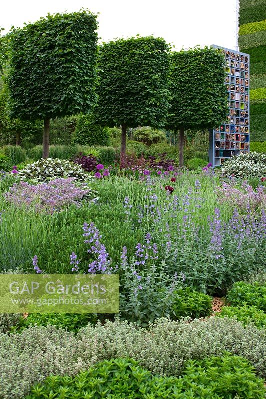 The B and Q Garden designed by Laurie Chetwood and Patrick Collins at the RHS Chelsea Flower Show 2011
