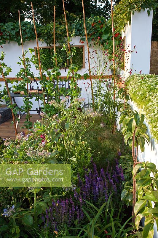 'The Potential Feast' edible garden designed by Raine Clarke-Wills and Fiona Godman-Dorington, RHS Hampton Court Flower Show 2011