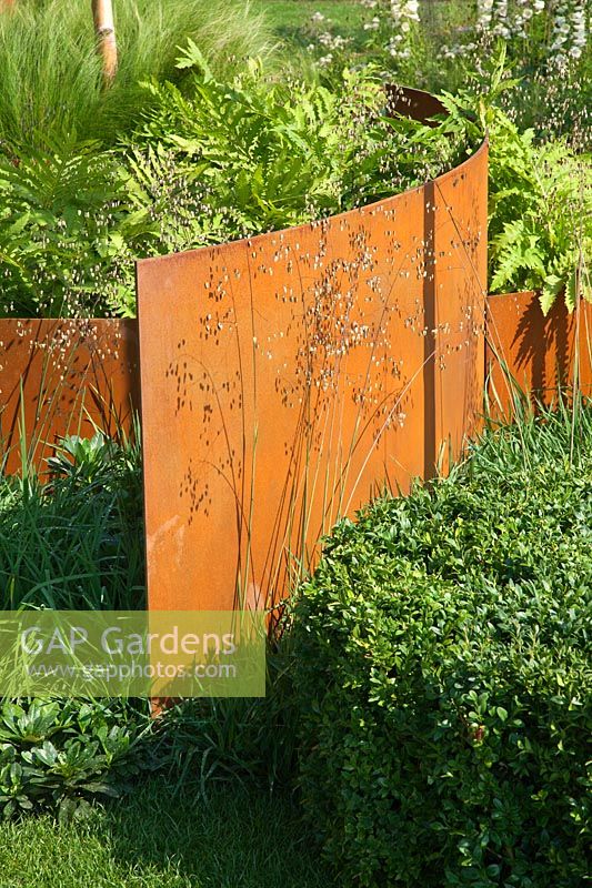 Contemporary garden with curved rusted corten steel panel, Digitalis 'Camelot Cream' and foliage RHS Hampton Court Flower Show