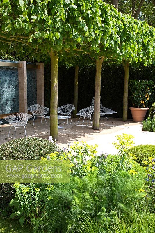 A canopy of Tilia x europaea 'Pallida' - Lime trees shade a seating area in a contemporary garden