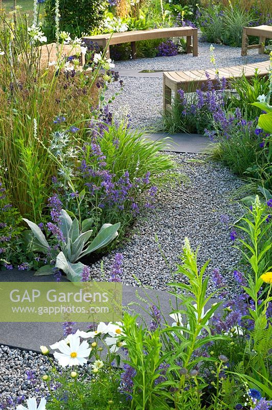 Contemporary garden with gravel path leading to seating area with wooden benches. Designers: Catherine Chenery Barbara Harfleet
