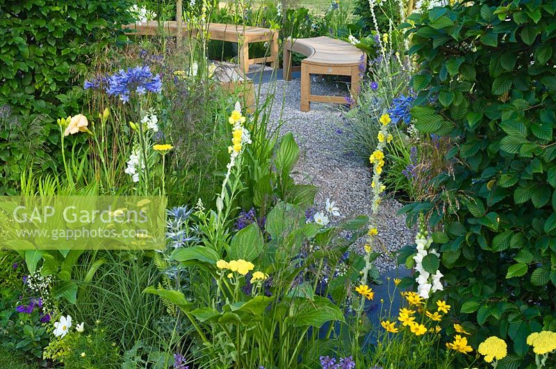 Contemporary garden with gravel path and seating area with wooden benches Designers: Catherine Chenery Barbara Harfleet