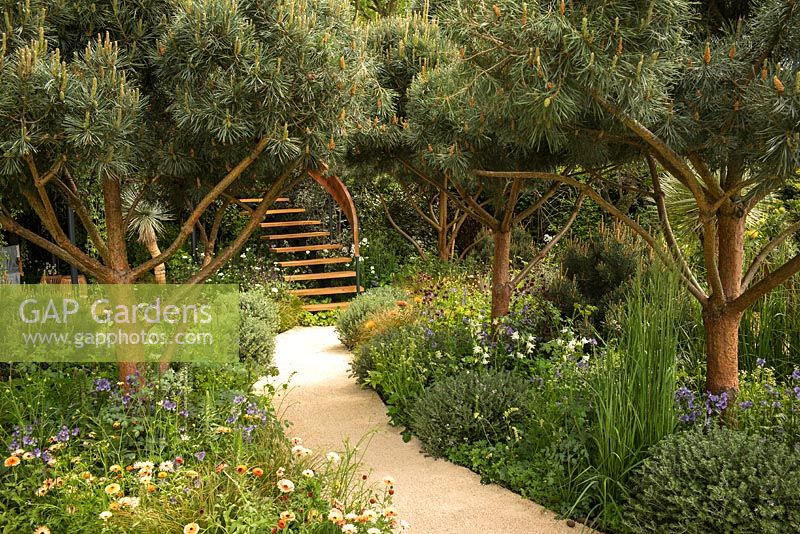 The Winton Beauty of Mathematics Garden, RHS Chelsea Flower Show 2016. Designer Nick Bailey.Plants showing mathematical patterns