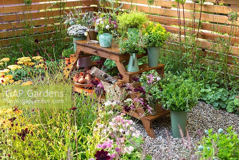 Small garden with wooden panel fencing, gravel and flowers in pots and jugs on decorative wooden steps.
