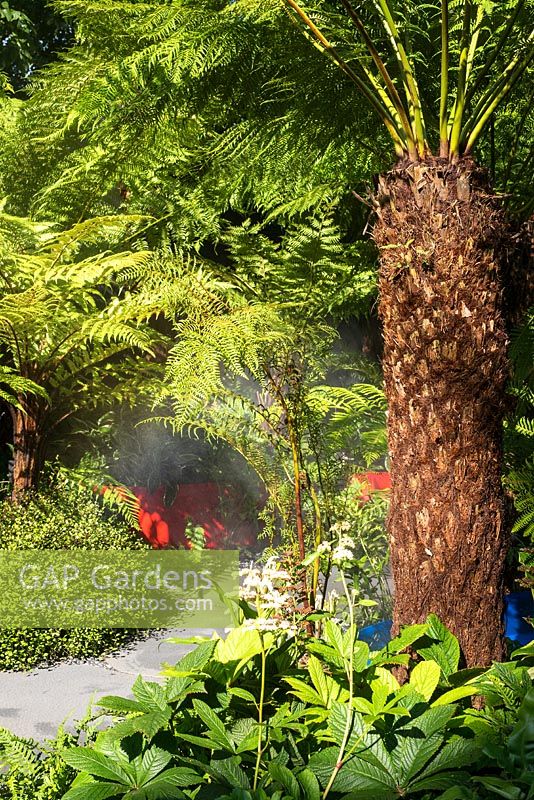 Dicksonia and hardy exotic foliage planting in a small urban garden. RHS Hampton Court Flower Show. Designers Andrew Fisher Tomlin, Dan Bowyer