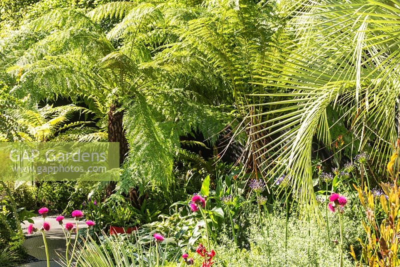 Dicksonia and hardy exotic foliage planting in a small urban garden. Designers Andrew Fisher Tomlin, Dan Bowyer. RHS Hampton Court Flower Show