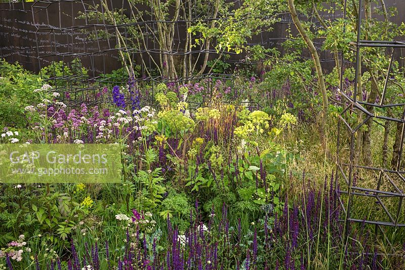 The Breaking Ground garden at the RHS Chelsea Flower Show 2017. Sponsor: Darwin Property Investment Management Ltd. Designers: Andrew Wilson and Gavin
