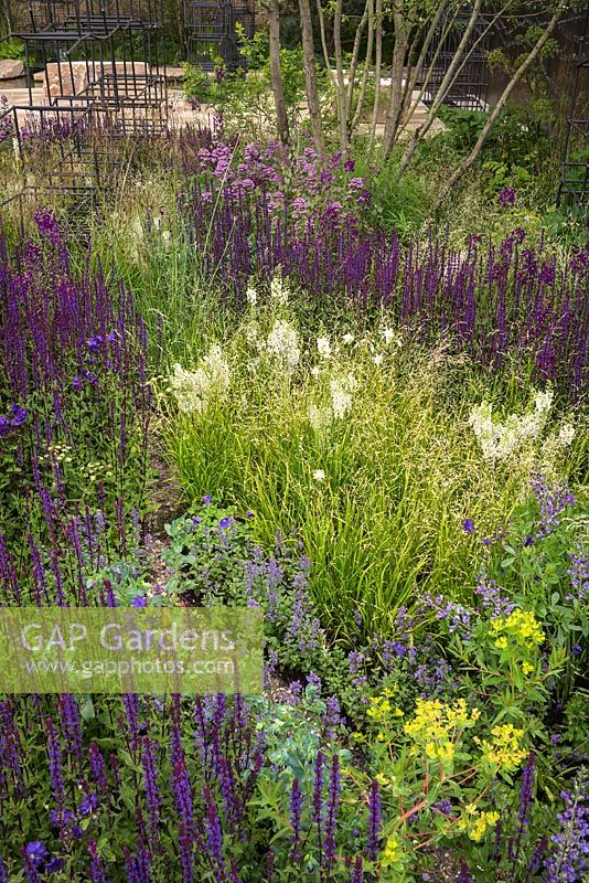 The Breaking Ground garden at the RHS Chelsea Flower Show 2017. Sponsor: Darwin Property Investment Management Ltd. Designers: Andrew Wilson and Gavin