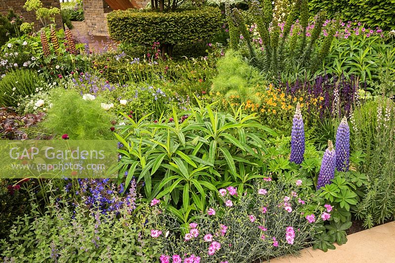 The Morgan Stanley Garden at the RHS Chelsea Flower Show 2017. Sponsor: Morgan Stanley. Designer: Chris Beardshaw. Awarded a Silver Gilt Medal. The M