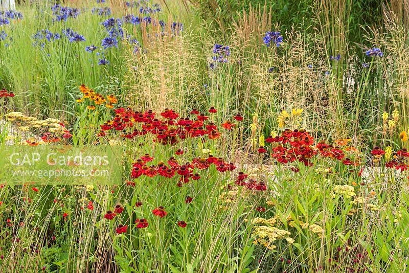 The Perennial Sanctuary Garden. RHS Hampton Court Flower Show 2017. Designer: Tom Massey. Sponsored by Perennial. Awarded a silver gilt medal.