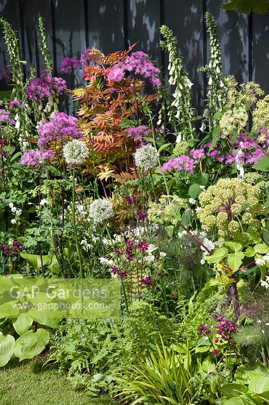 Colorful planting with perennials