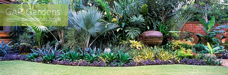 Large border full with tropical foliage plants Bill Bensley s own garden Bangkok Thailand
