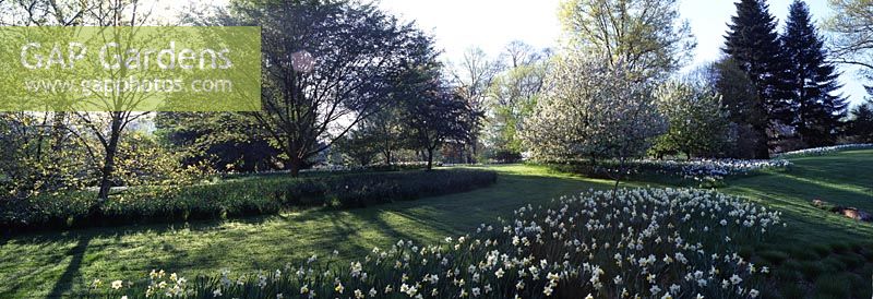 The Orchard in spring flower at Chanticleer Garden, USA