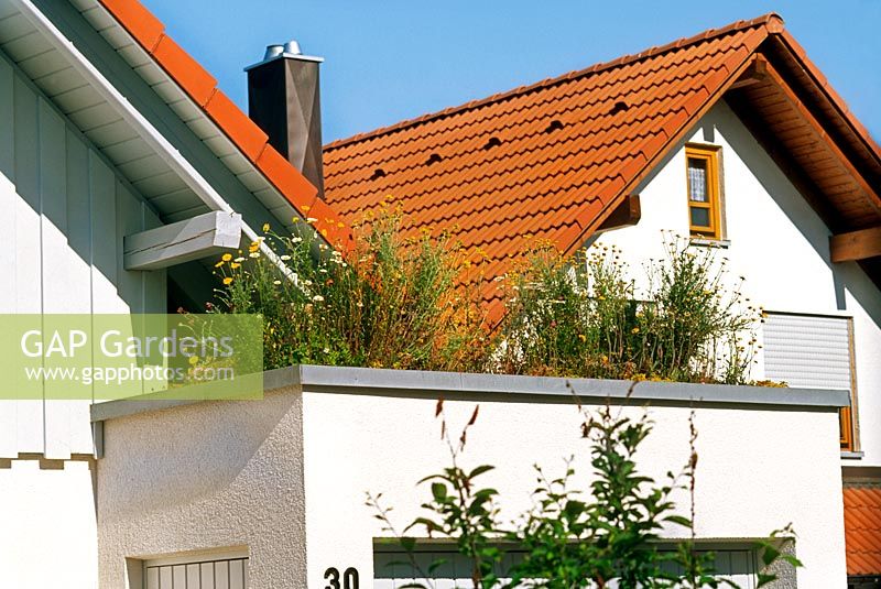 Domestic roof greening in Germany