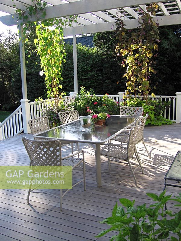 Verandah with white painted furniture table chairs and deck in the Hamptons Long Island USA Pelargonium in terracotta pot on tab