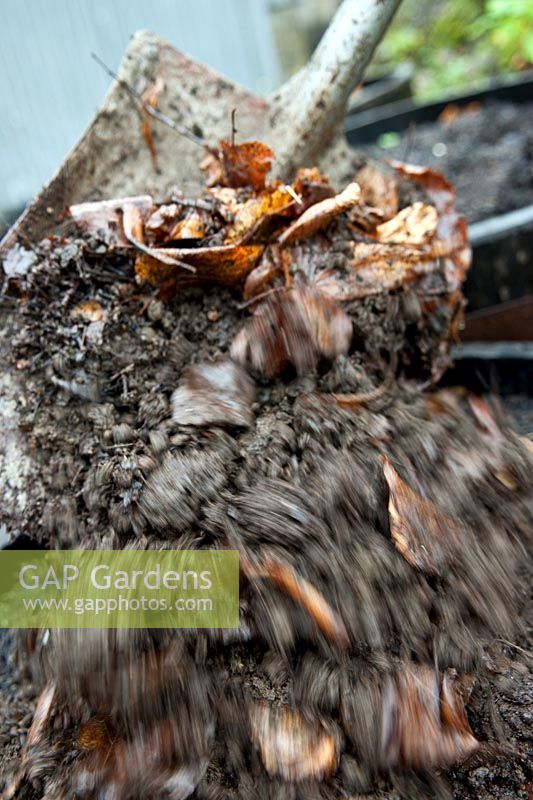 Shoveling leaf mould compost into a container