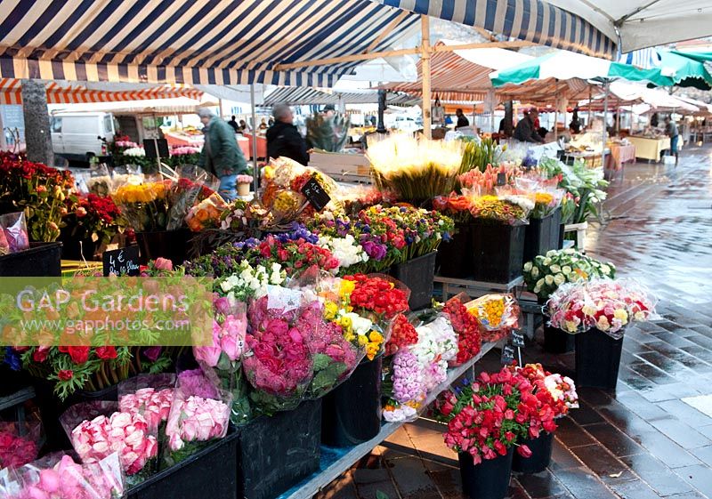 Flower stalls, wet, rain, flower market, Marche aux Fleurs, the old city, Nice, France