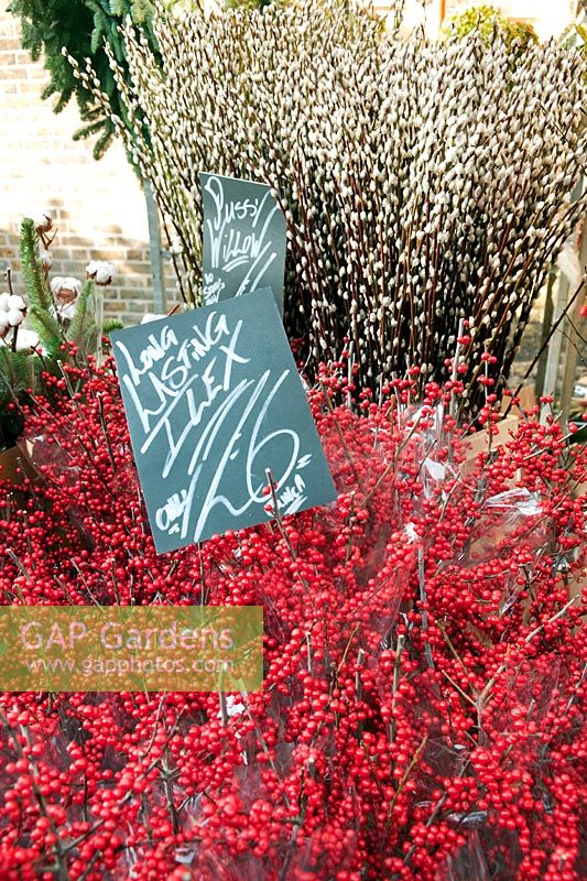 Ilex berries & stems with pussy willow buds & stems for sale at Columbia Road Flower Market, London