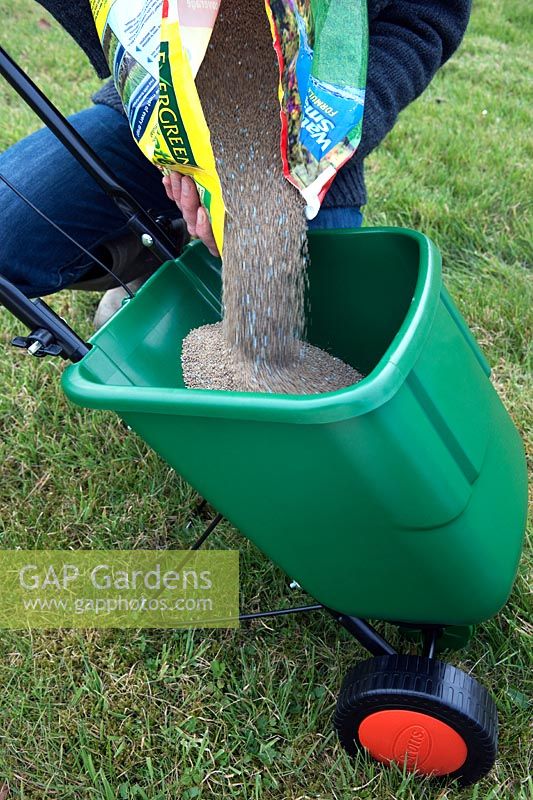 Pouring lawn fertilizer and weedkiller into a rotary lawn feed spreader