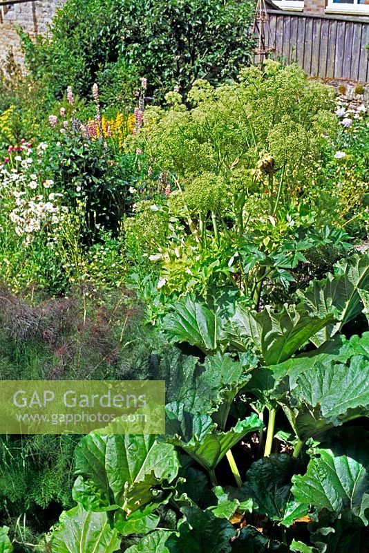 Cotswolds vegetable garden packed with foliage and flower