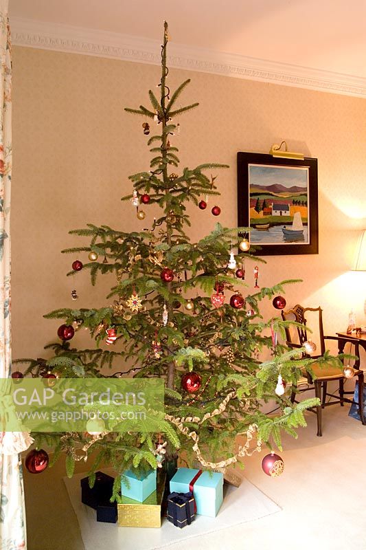 Decorated Christmas tree with presents in warm room
