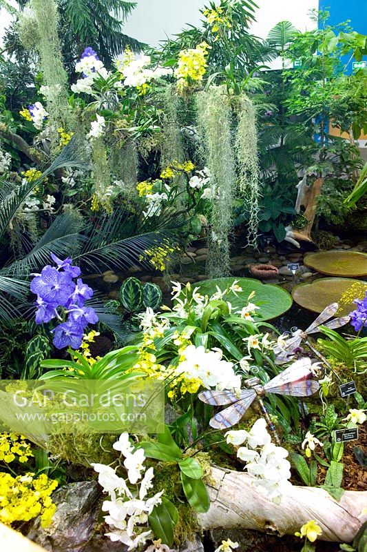 Tropical Treasures Jungle section Gardening Scotland 2007 Gardening the Earth Royal Botanic Gardens Edinburgh