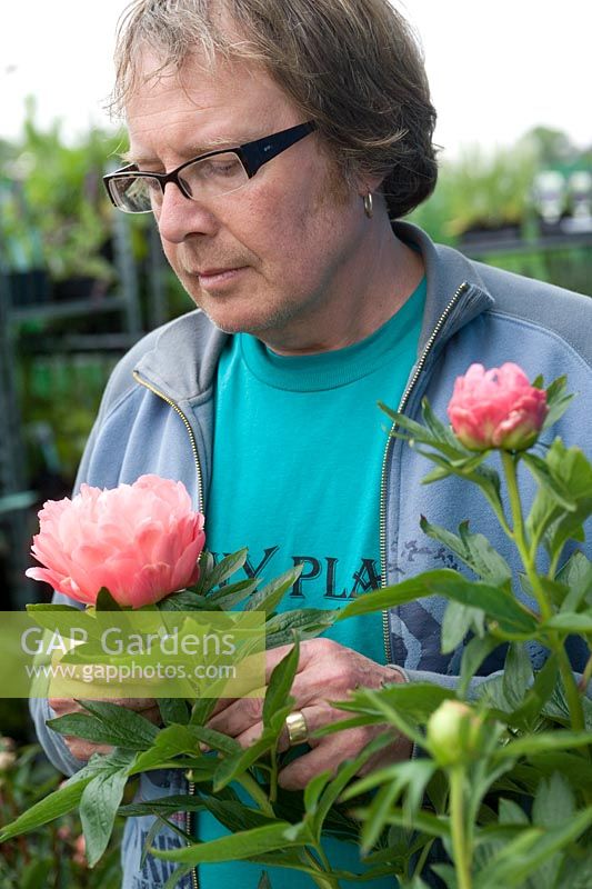 Billy Carruthers of Binny Plants with Paeonia Coral Charm
