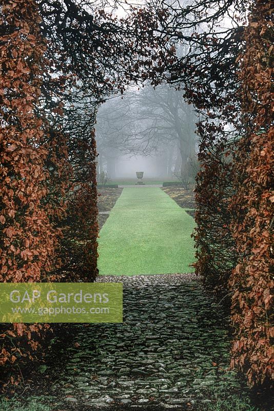 Beech hedge archway leading to lawn on a misty winters day at Levens Hall, Cumbria