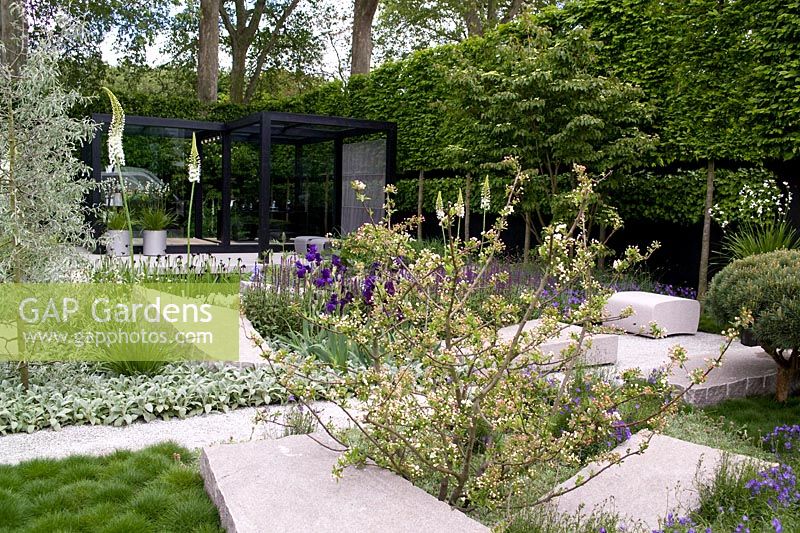 The Daily Telegraph Garden. Gold Medal & Best in Show, RHS Chelsea Flower Show 2009.