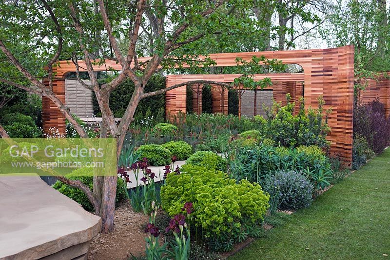 Homebase Teenage Cancer Trust Garden designed by Joe Swift at RHS Chelsea Flower Show 2012