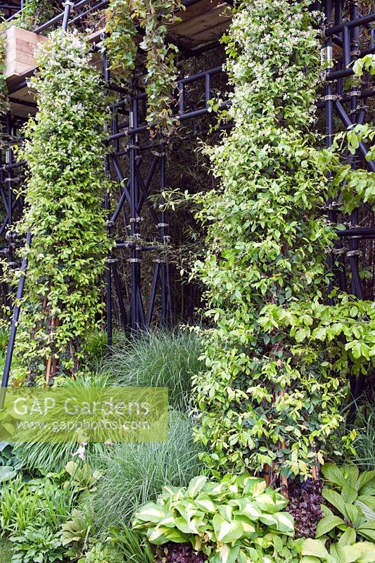 The Westland Magical Garden by Diarmuid Gavin RHS Chelsea Flower Show 2012