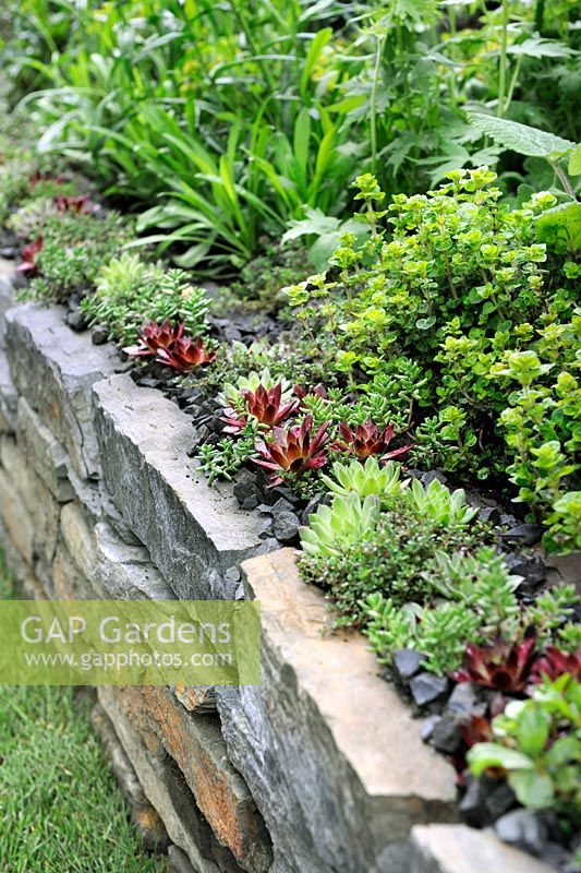 The 'Get Well Soon' Artisan Garden, sponsored by the National Botanic Garden of Wales at RHS Chelsea Flower Show 2013, London