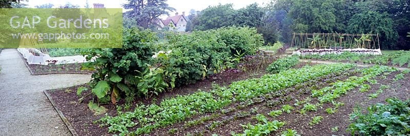 The two acre walled Vegetable Garden at Le Manoir aux Quat Saisons Hotel Restaurant of Raymond Blanc O B E