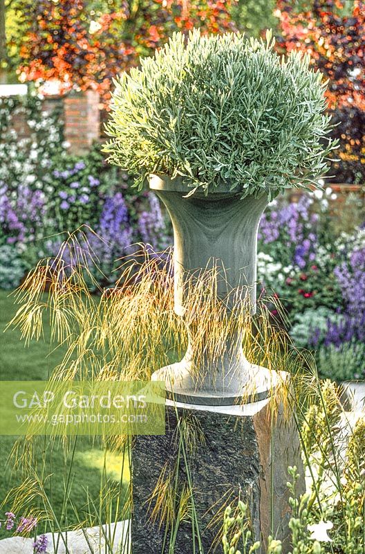 Stone urn with Santolina in RHS Chelsea Show garden by Xa Tollemache & Jon Kellett. 2003 Silver Gilt Medal. Merrill Lynch Garden