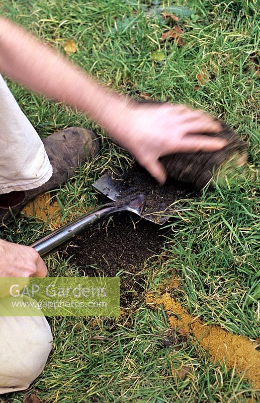 Gardener repairing a lawn lifting old turf with a spade