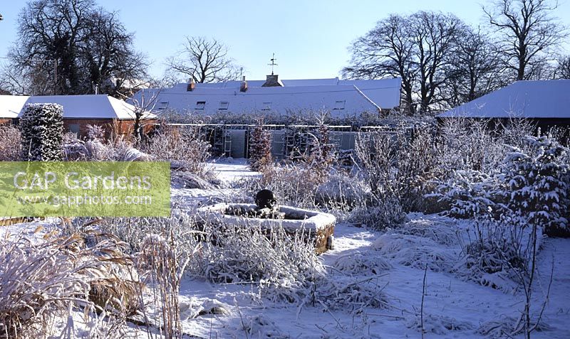 Dried perennial grasses foliage covered with snow at Blackpitts Farm Garden designed by James Alexander Sinclair