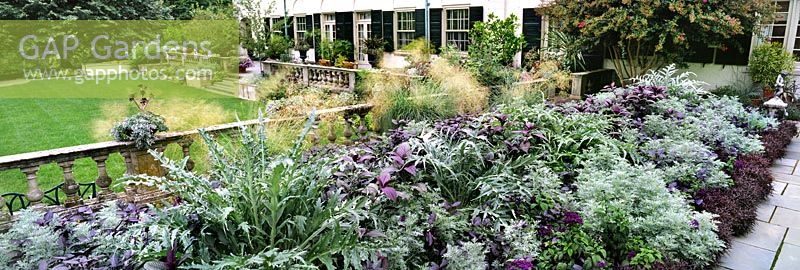 The Terrace Garden, Chanticleer Garden, Pennsylvania, USA. Large silver & purple themed herbaceous perennial border