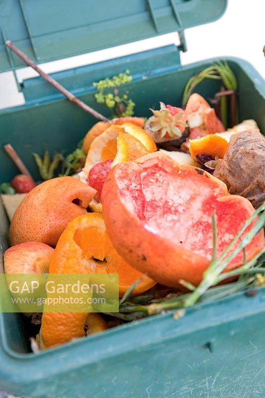 Compost bin with orange peel and grapefruit skins