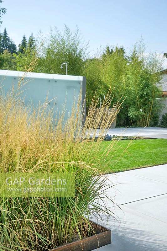 Modern garden design with ornamental grasses