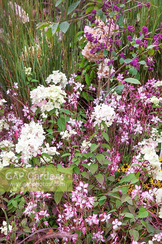Flower border with perennials ans ornamental shrubs