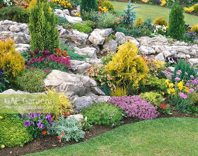 Rock garden with flowering perennials and coniferes