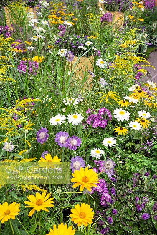 Flower bed with perennials and ornamental grasses