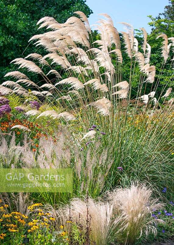 Perennial mix with ornamental grasses